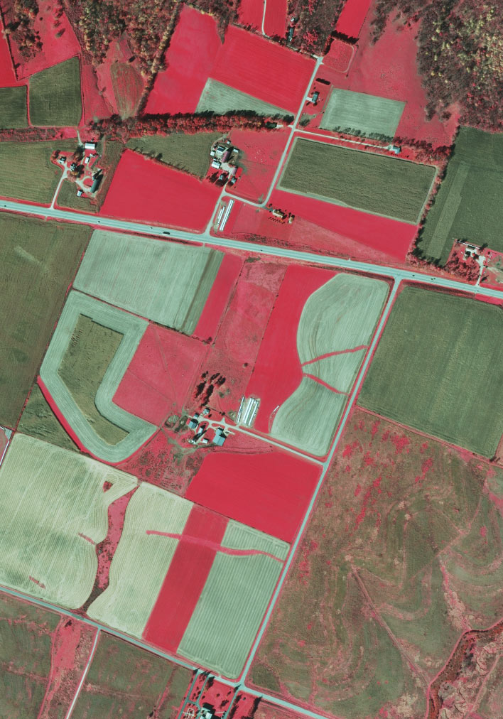 Digital Ortho Image of Rural Farm Lands