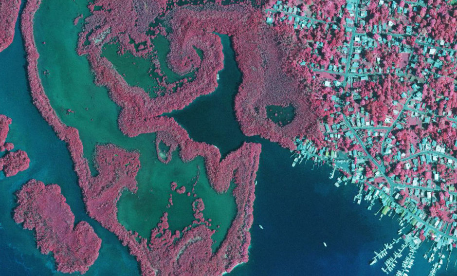 coastal area in color infrared